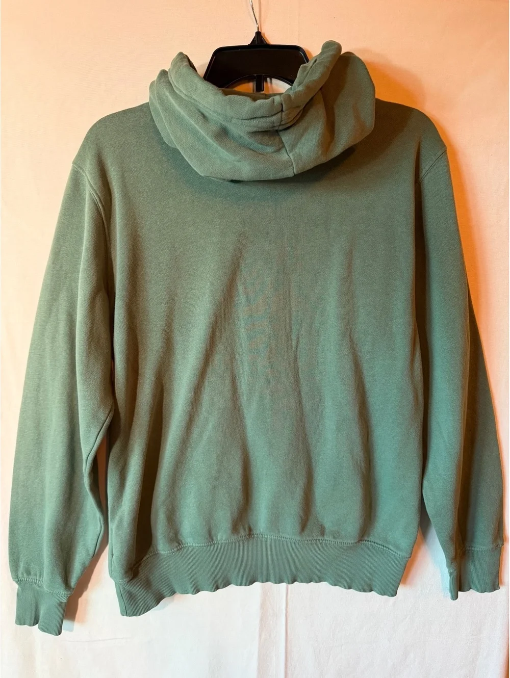 The North Face Men's Hoodie Sweatshirt Size Small Sage Green